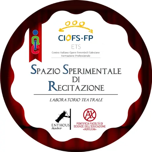 Badge pubblico 19395